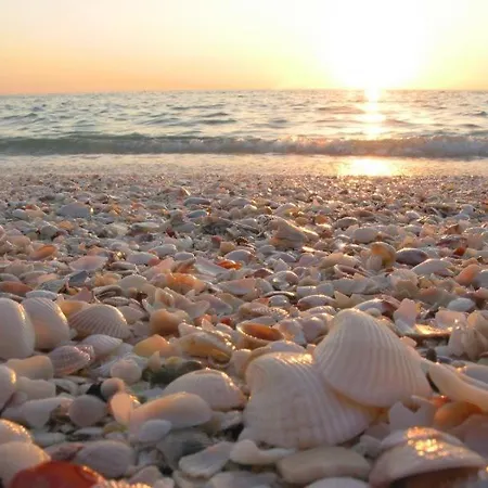 Su Foghile Lägenhet *