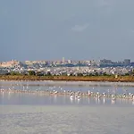 Apartament Su Foghile