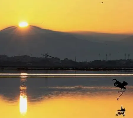 Su Foghile Куарту-Сант'Элена