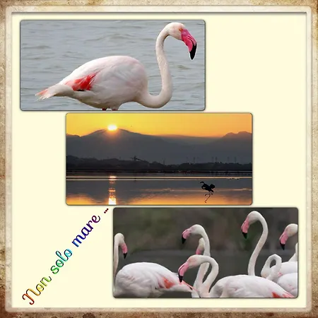 Su Foghile Apartamento