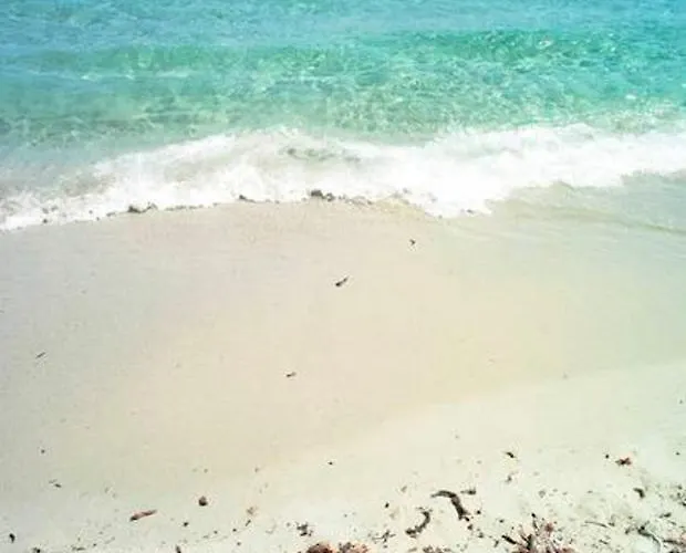 Appartamento Su Foghile