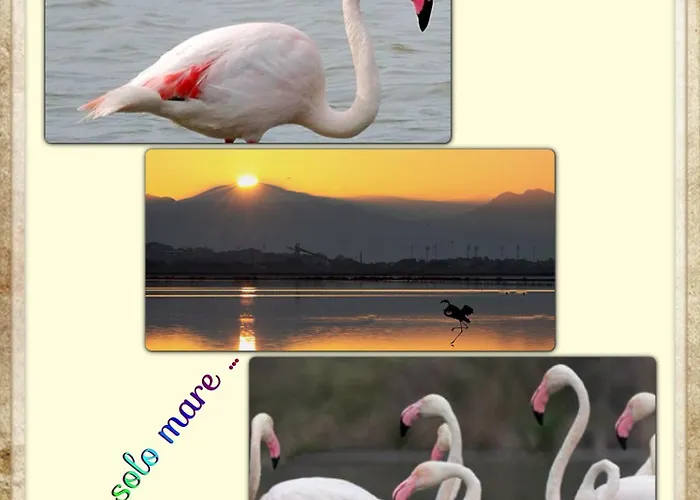 Su Foghile Appartamento